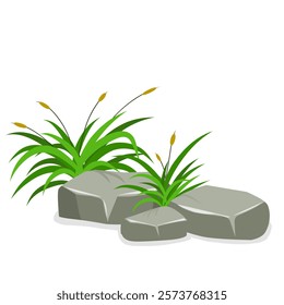 plant and stone vector design, vector design illustration of grass, bushes, flowers with stones