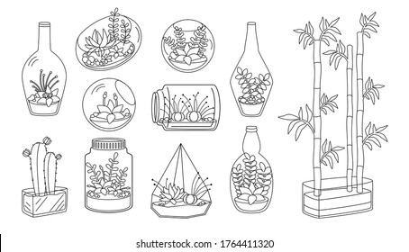 Plant and succulent in glass aquarium flat line set. Black linear cartoon house flower. Decorative house plants, cactus bamboo. Trendy home decor collection cute interior. Isolated vector illustration