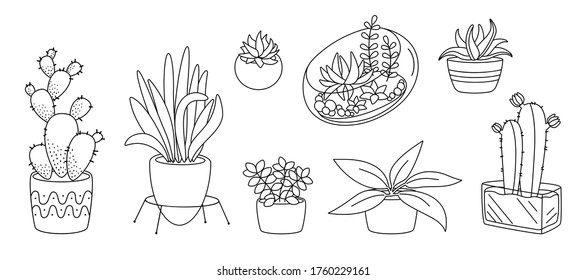 Plant and succulents, potted ceramic flat line set. Black linear cartoon house indoor flower. House plants, cactus, monstera flowerpot. Trendy home decor collection. Isolated vector illustration