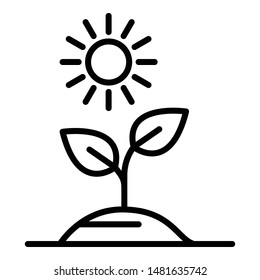 Plant in the sun icon. Outline plant in the sun vector icon for web design isolated on white background