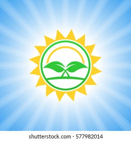 Plant and sun. Sapling and sun on the blue background.