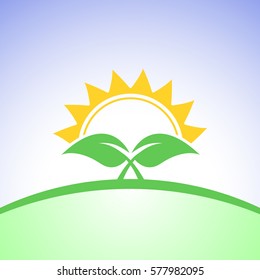 Plant and sun. Sapling and sun on the blue background.