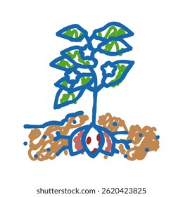 vetor de esboço de ícone de doodle de batata doce de planta. sinal de batata doce de planta. ilustração de símbolo isolado