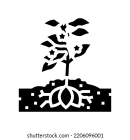 plant sweet potato glyph icon vector. plant sweet potato sign. isolated symbol illustration