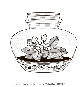 plant terrarium with African violet