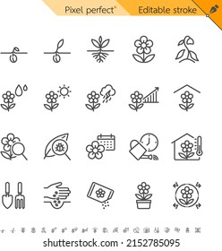 Plant thin icons. Pixel perfect. Editable stroke.