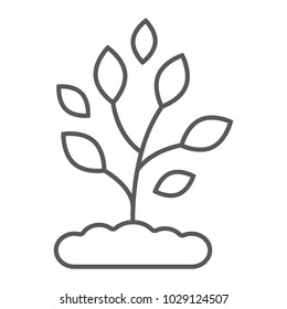 Plant thin line icon, farming and agriculture, ecology sign vector graphics, a linear pattern on a white background, eps 10.