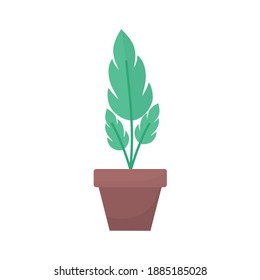 plant with three leaves in a pot vector illustration design