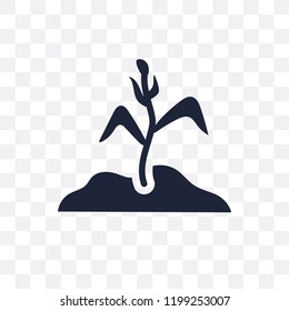 Plant transparent icon. Plant symbol design from Agriculture, Farming and Gardening collection. Simple element vector illustration on transparent background.
