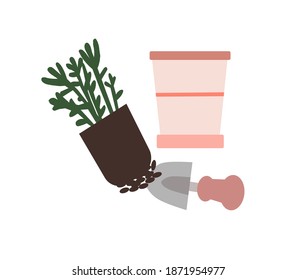 Plantas trasplantadas en otra olla, una gráfica vectorial