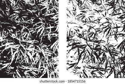 Diseño de fondo vectorial de textura de hoja abstracta de árbol vegetal ilustración de arte blanco negro
