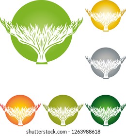 Plant, tree and circle in different colors