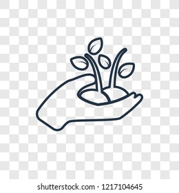 Plant a tree concept vector linear icon isolated on transparent background, Plant a tree concept transparency concept in outline style