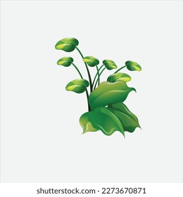 arte vegetal vectorial