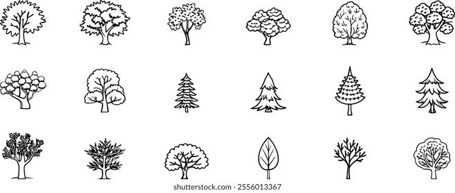 Plant tree forest icon set outline, hand drawn vector. Garden drawing. Botanical oak