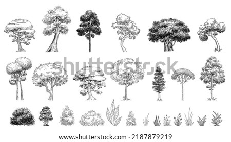 Plant tree forest icon set outline, hand drawn vector. Garden drawing. Botanical oak Foto stock © 