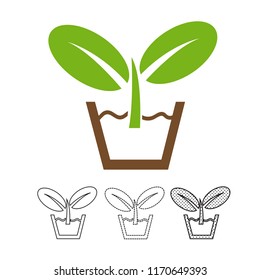 Plant tree icon vector