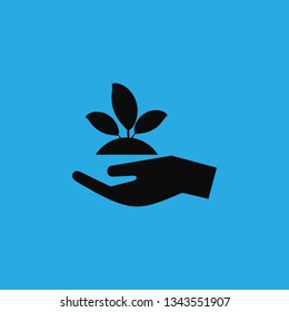 plant a tree icon vector