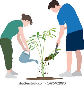 Plant a Tree illustration graphic vector