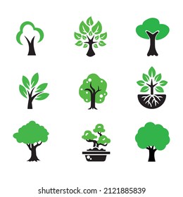 plant tree leaf vector illustration image