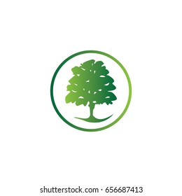 plant tree logo