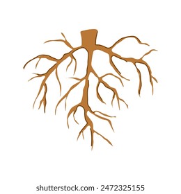 plant tree root cartoon. green nature, trunk logo, branch graphic plant tree root sign. isolated symbol vector illustration
