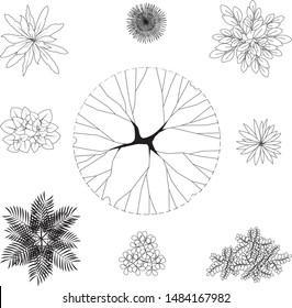 Plant Trees Shrub Drawing Top View Stock Vector (Royalty Free ...