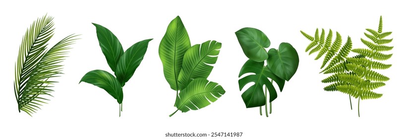 Planta dos trópicos. Folhas 3D de Monstera, banana, samambaia e composição de palmeira. Buquê de folhagem verde exótico. Elemento de decoração de jardim botânico. Elementos isolados realistas tropicais de selva vetorial