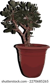 planta con maletero y ramas en la olla