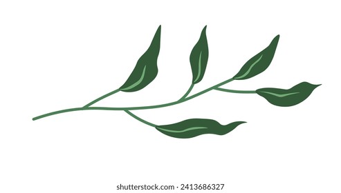 Plant twig with leaves and foliage. Isolated icon of leafage of branch, tree or bush, houseplant of flower. Elegant stem for decoration. Summer and spring growth of flora. Vector in flat style