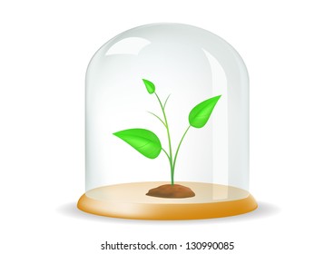 plant under the hood