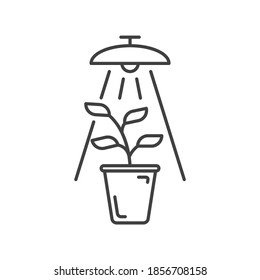 Plant under lamp icon. A simple depiction of growing a plant under artificial conditions under artificial light. Isolated vector on white background.