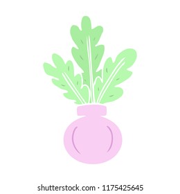plant in vase