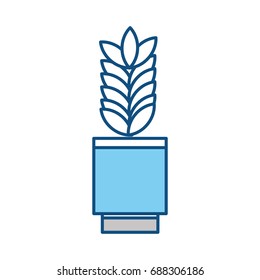 Plant in vase