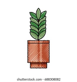 Plant in vase