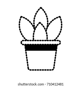 Plant in vase
