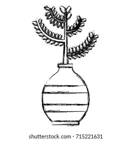Plant in vase