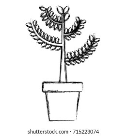Plant in vase