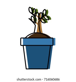 Plant in vase