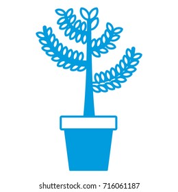 Plant in vase