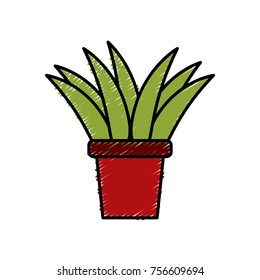 Plant in vase