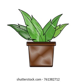Plant in vase