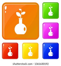Plant in a vase icons set collection vector 6 color isolated on white background