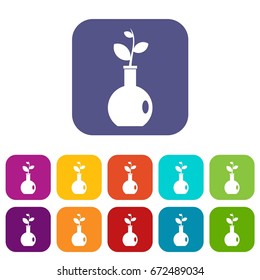 Plant in a vase icons set vector illustration in flat style In colors red, blue, green and other