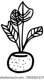 Plant in a vase, illustration, vector on white background.