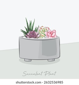 Plant vector art, succulent illustration