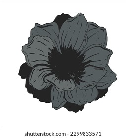 Plant vector black silhouettes of flowers isolated on a white background
