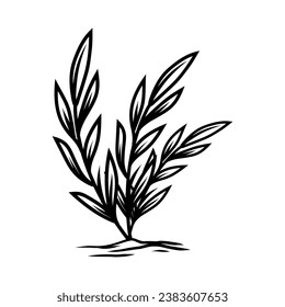 Plant vector in black and white with hand drawn style. Suitable for nature-themed projects, botanical illustrations, or any design that requires a simplistic yet elegant depiction of a plant.