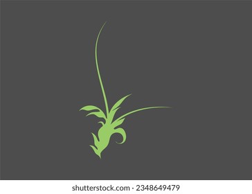 plant vector for decoration art