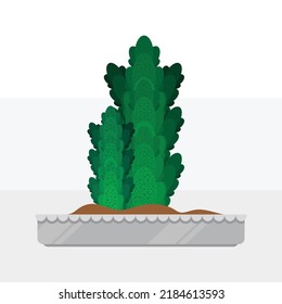 Plant vector design, Cactus pot, Cactus design vector
